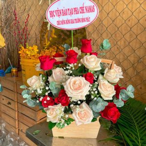 Giao Hoa Tận Nơi Tại Thi Trấn Chợ Rã, Ba Bể, Bắc Kạn